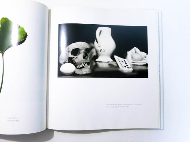 Irving Penn Still Life アーヴィングペン写真集 Still Life Irving Penn ファッションフォト、アートフォトなど