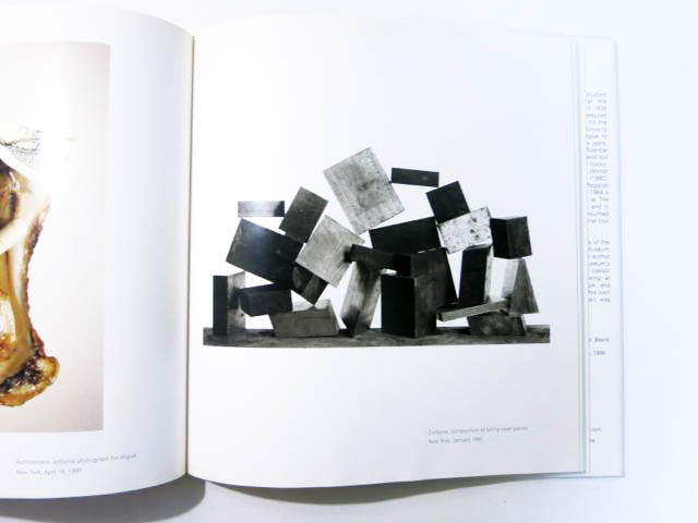 古本】アーヴィング・ペン写真集 : IRVING PENN : STILL LIFE