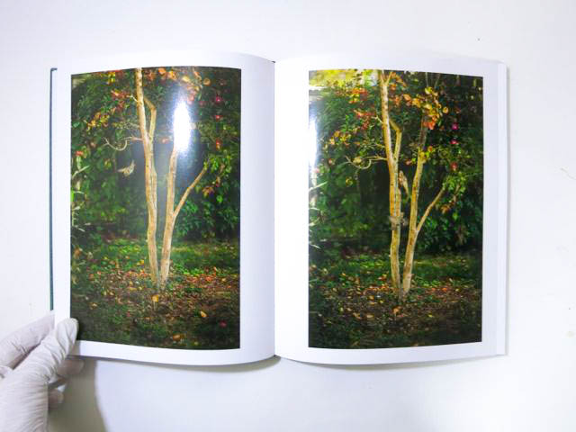 Terri Weifenbach 写真集 Terri Weifenbach: The may sun | Book Ernest