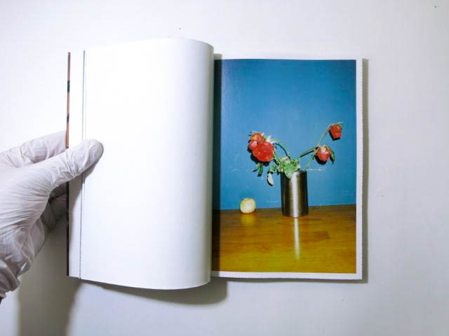 Flowers and Fruits リン・チーペン 林志鵬 写真集 Flowers and Fruits - リン・チーペン（林志鹏）aka No.223