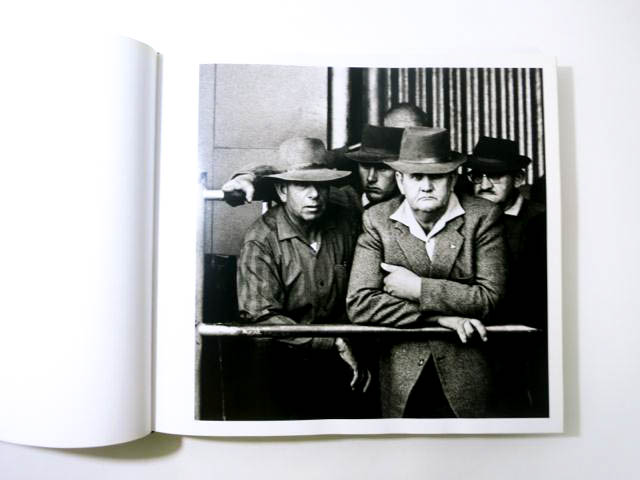 David： Beautiful Frames写真集 ダヴィッド David： Beautiful Frames写真集 ダヴィッド David： Beautiful Frames