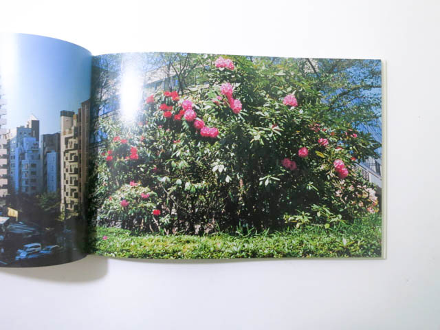 至るところで心を集めよ立っていよ 清野賀子 写真集 至るところで 心を集めよ 立っていよ by Yoshiko Seino – IACK